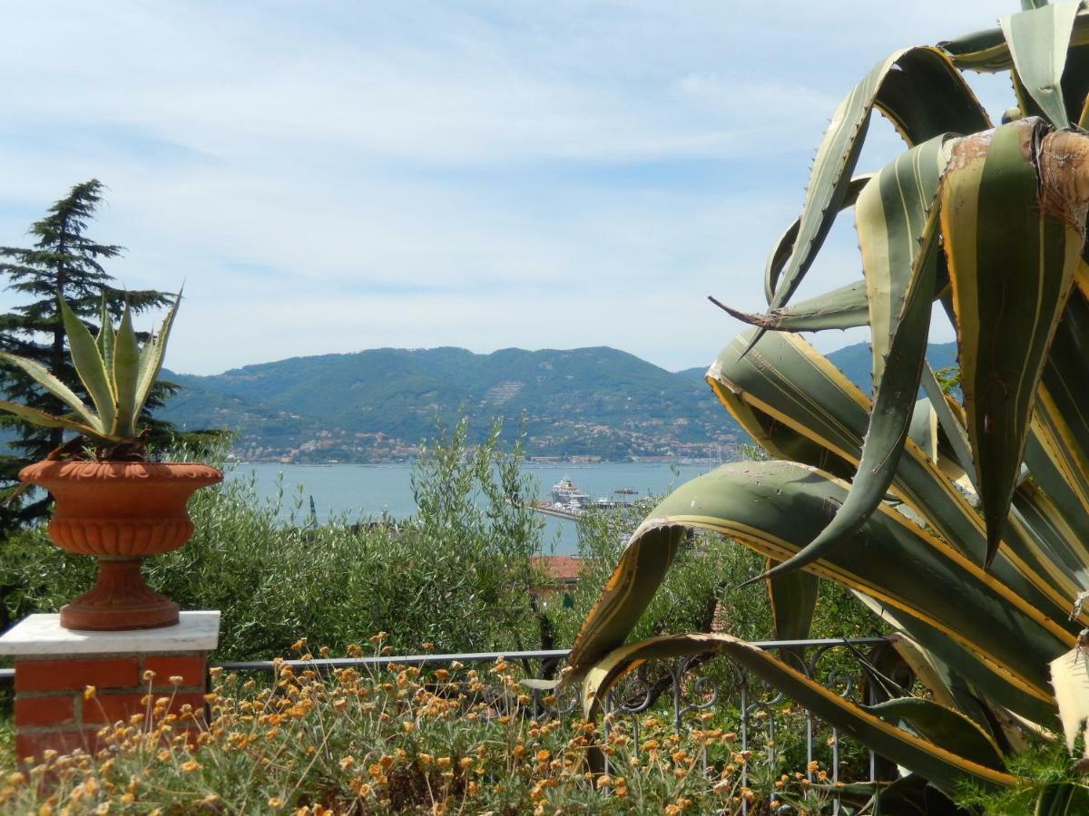 Le Agavi Del Golfo *